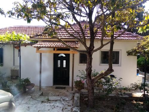 a house with a tree in front of it at Driftwood Villa in Tragaki