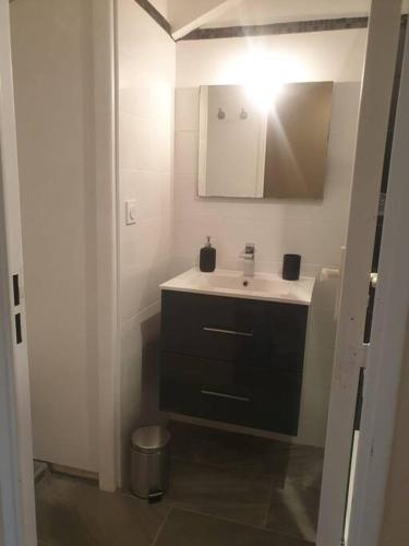 une salle de bain avec un lavabo et un miroir dans l'établissement Cute Cottage with Pool at Marciac Lake, à Marciac