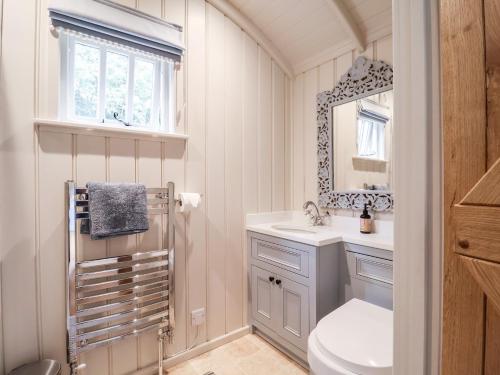 a bathroom with a toilet and a sink and a mirror at Utopia in Harleston