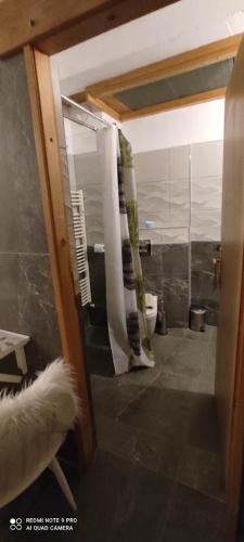 弗濟內的住宿－Apartman Malina，带淋浴帘和卫生间的浴室