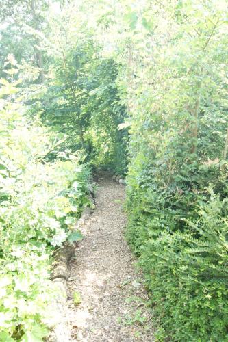 a dirt trail in the middle of a forest at B&B Maison Kerkhove in Kerkhove