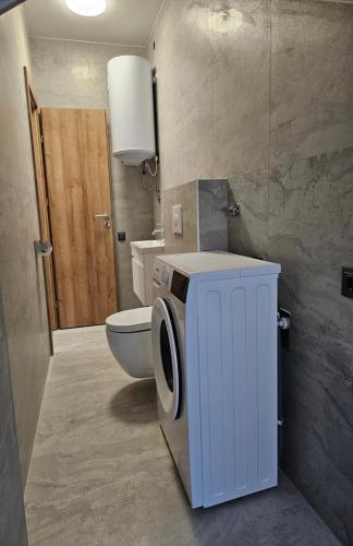 a bathroom with a toilet and a washing machine at Studio apartman Borlin in Karlovac