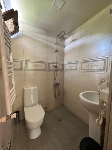 a bathroom with a toilet and a sink at Bala's House in Mestia