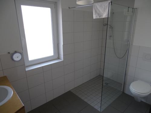 a bathroom with a shower and a toilet and a window at Hotel Demling in Randersacker
