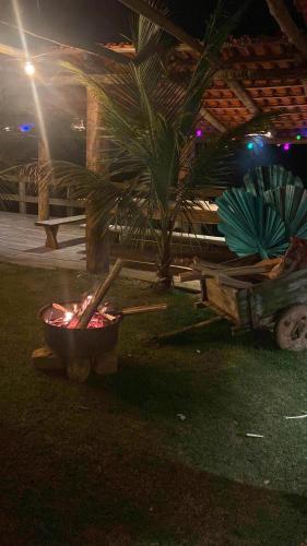 a room with a fire pit and a palm tree at Pousada Chales da Canastra in Vargem Bonita