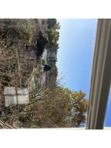 a view from a window of a building with trees at Casa Villa Julia in Tigre