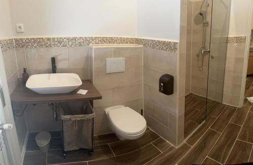 a bathroom with a toilet and a sink and a shower at Apartments & Room - Korzo in Sombor