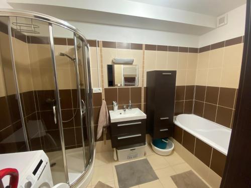 a bathroom with a shower and a sink and a tub at Apartmán s nádherným výhľadom na Tatry in Veľký Slavkov