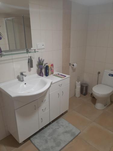 a bathroom with a sink and a toilet and a mirror at Apartmán LUKA in Buchlovice