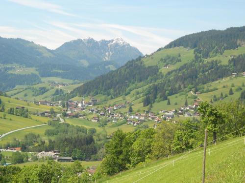 a small town in a valley with mountains at Apartment Doll in Niederau