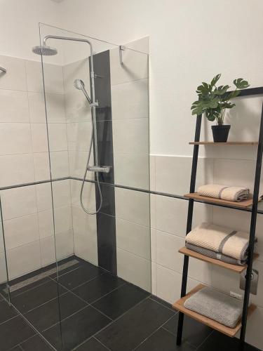 baño con ducha y puerta de cristal en Sorinas Unterkunft WB7 Top 3, 