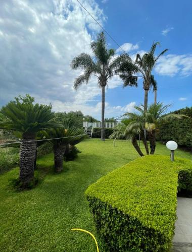 a garden with palm trees and a lawn with bushes at Villa Mariuccia in Siracusa