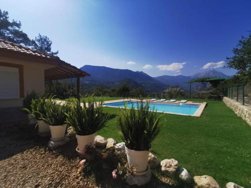 a backyard with a swimming pool and some plants at Villa Olymposzaray in Kumluca
