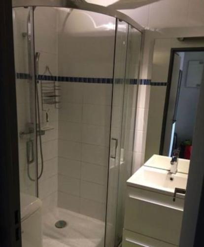 une salle de bain avec une douche, des toilettes et un lavabo dans l'établissement Magnifique appartement vue port et mer, au Cap d'Agde