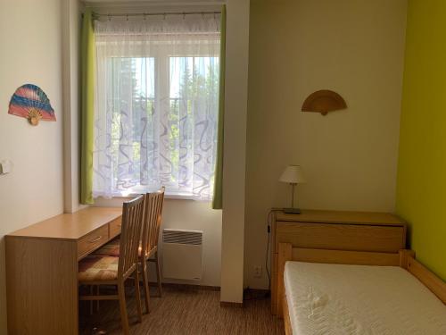 a bedroom with a desk and a bed and a window at Karlov pod Pradědem Apartmány Orbit in Karlov