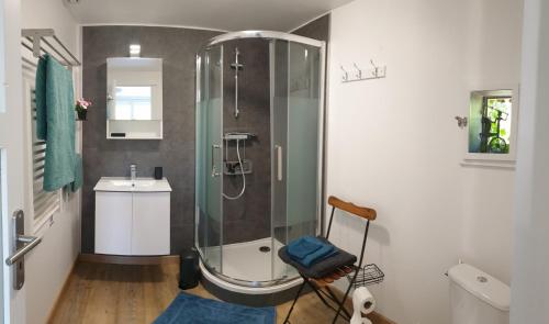 uma casa de banho com um chuveiro e um lavatório. em Détente champêtre, maisonnette rénovée en 2023 
