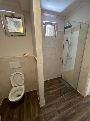a bathroom with a shower and a toilet at Apartments & Room - Korzo in Sombor