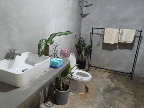 a bathroom with a sink and a toilet and plants at Happy Homestay - Local Vibe in Phumĭ Puŏk Chăs