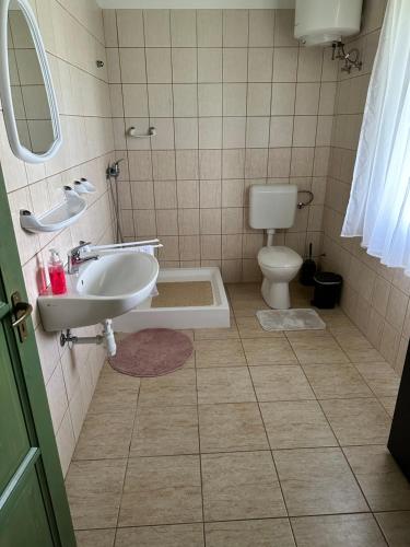 une salle de bains avec lavabo et toilettes dans l'établissement Tomaj Vendégház, à Tomajmonostora