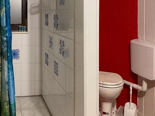 a bathroom with a toilet and a red wall at Ferienhäuser Olbernhau Erzgebirge in Olbernhau