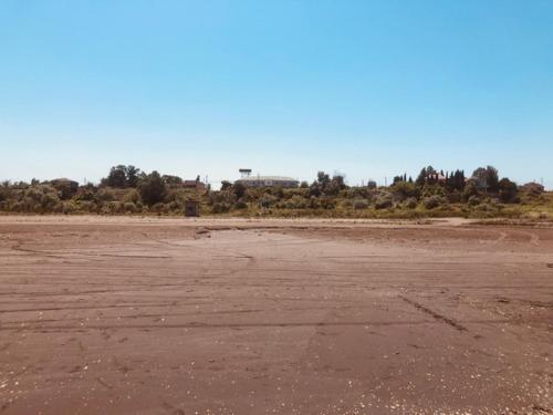 um campo de terra vazio com árvores ao fundo em Exotic em Nabran