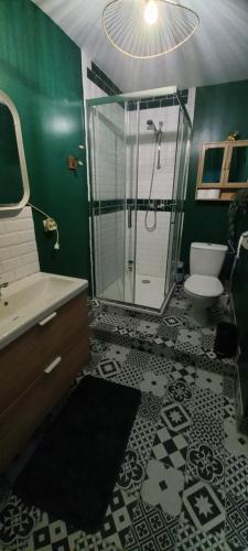 un bagno con doccia, lavandino e WC di Chambre indépendante piscine en saison petit déjeuner inclus a Véretz