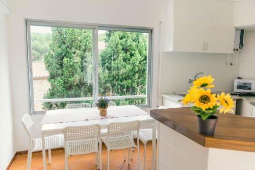 Fotografie z fotogalerie ubytování Apartaments Falcó v destinaci Llança