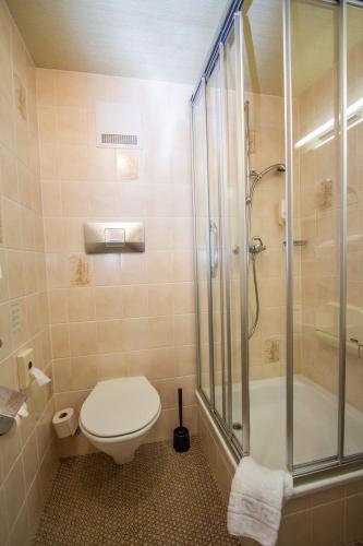 a bathroom with a toilet and a glass shower at City Hotel in Brunnen