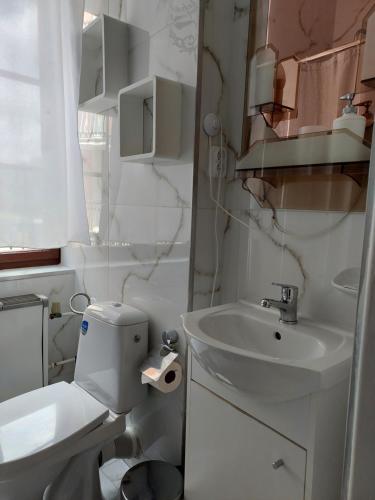 a white bathroom with a toilet and a sink at Hotel Asila in Karlovy Vary