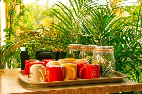 a tray of mason jars sitting on a table at Tayrona Juancho's House Hostel & Coworking in Los Naranjos