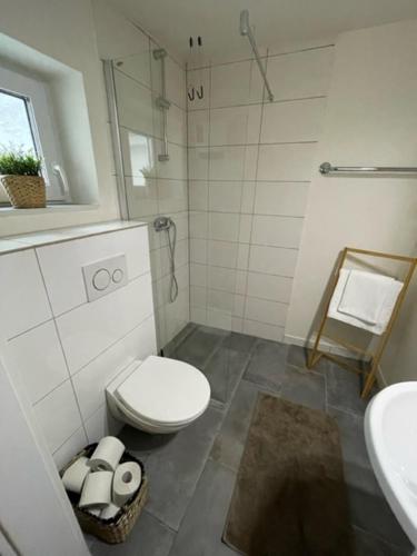 a bathroom with a toilet and a shower and a sink at Schönes gemütliches kleines Studio in Ludwigshafen am Rhein
