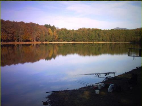 a large body of water with trees in the background at Appartement cosy sur Masevaux in Masevaux