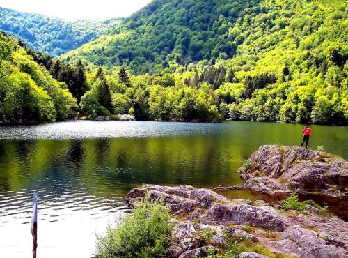 a person standing on a rock near a lake at Appartement cosy sur Masevaux in Masevaux