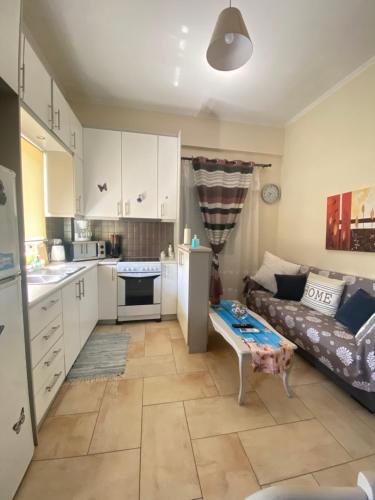 Kuchyň nebo kuchyňský kout v ubytování Maria & Zachos House