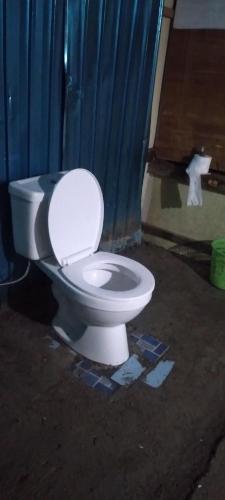 a white toilet in a room with a blue curtain at Karleta Homestay in Ruteng