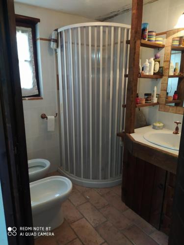 y baño con ducha, aseo y lavamanos. en chalet La vigna casa vacanze en Scurcola Marsicana