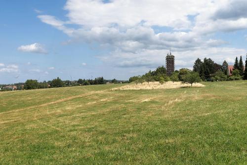 a large field of grass with a tower in the distance at Appartement Arend in Dobel
