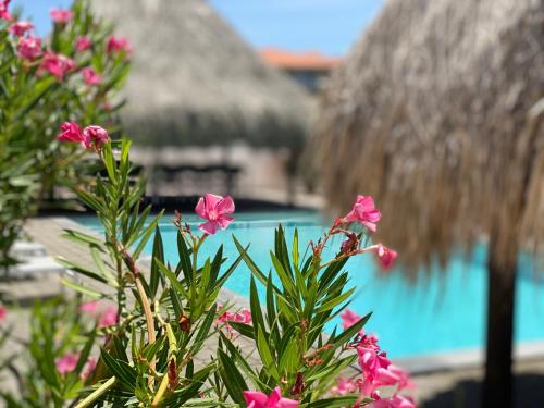 a plant with pink flowers in front of a pool at La Vista Luxury Apartment Jan Thiel in Jan Thiel