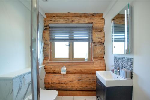 a bathroom with a wooden wall with a toilet and a sink at Frankaborough Lodge in Virginstow