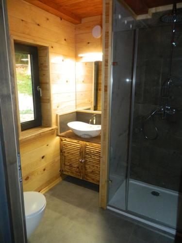 een badkamer met een toilet, een wastafel en een douche bij Sowiogórska Ostoja in Jugów