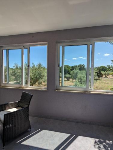 Krk Island Dream: Harbor Walk and Panoramic Views