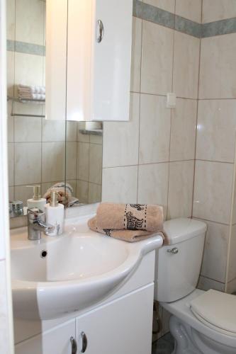 a bathroom with a white sink and a toilet at Apartment Noel in Sveti Vid-Miholjice