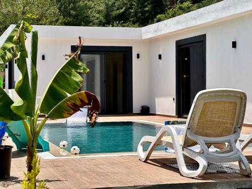 una casa con una piscina con una silla y una persona en el agua en Sapphire, en Fethiye