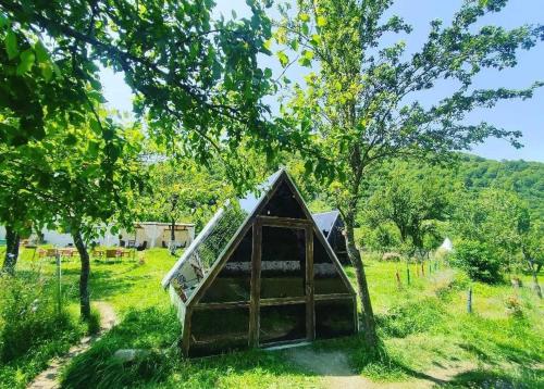 een klein huis in het midden van een veld bij UNDER STARS HOUSE in Vermosh