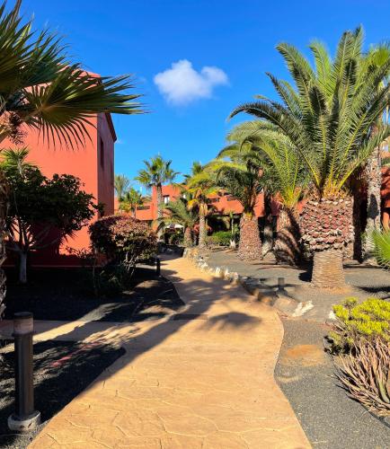 Oasis Tamarindo by Best Holidays Fuerteventura