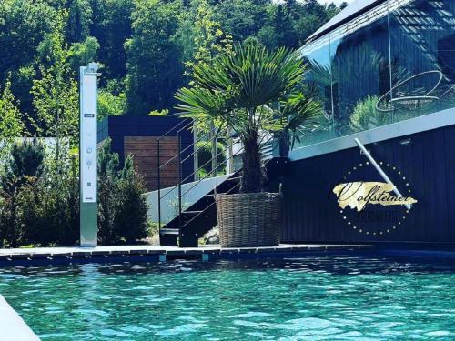 a swimming pool next to a house with a palm tree at Chalet Panorama in Freyung