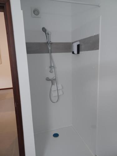 a shower in a bathroom with a shower head at Sous la Canopée Standing -Appartement Cosy- Cuisine équipée - CLIM- WIFI -NETFLIX in Rémiré