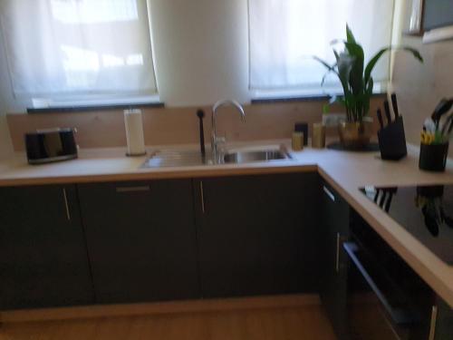 - une cuisine avec un évier et un comptoir dans l'établissement Gästehaus Spatzennest Wohnung 2, 