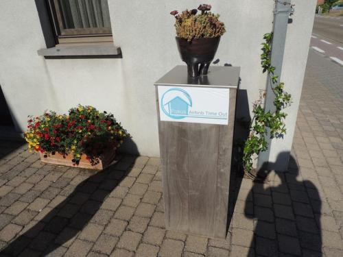 a vase sitting on top of a box with flowers at Fokus Time out in Dessel