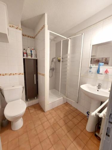une salle de bain avec toilettes, douche et lavabo dans l'établissement Studio capacite 2 personnes quartier corniche a quelques pas des plages et petit centre ville, à Sète